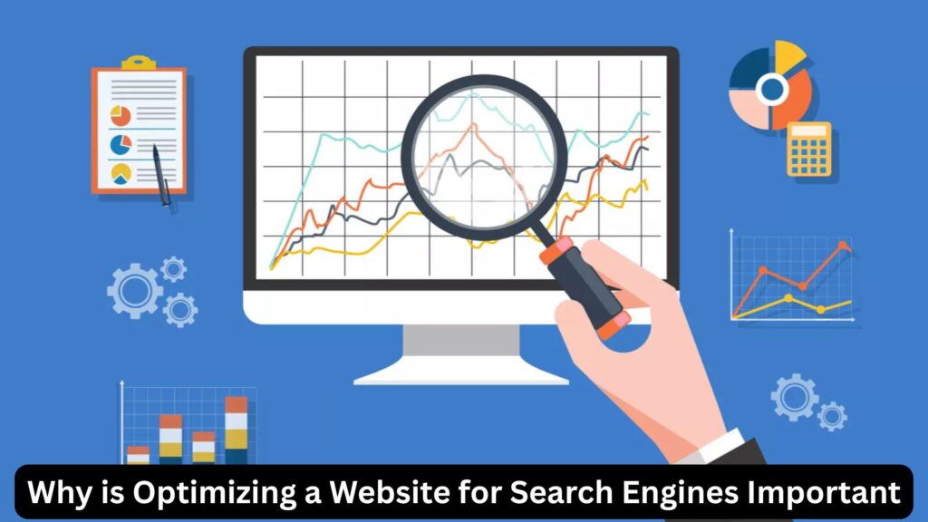 why Moz websites are optimized for local search