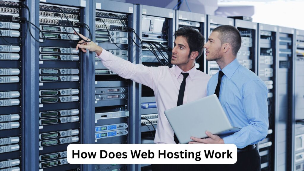 difference between web hosting and web server