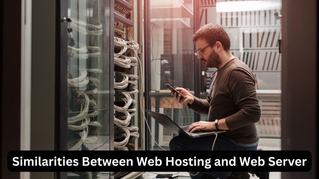 difference between web hosting and web server
