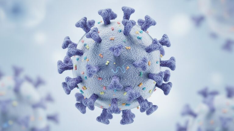 High-quality medical illustration of the influenza virus showing surface spikes in a clean healthcare design, representing flu infection and respiratory illness.